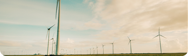 Copy of Single_piece_of_content_under_banner_image (2)