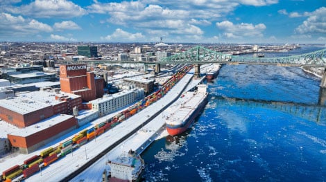 Top Tips for Exporting Your Food Products to the USA or Canada.